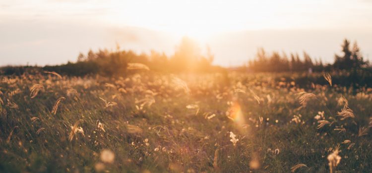 Welcome to Resting In Jesus’s Life! Welcome to Resting In Jesus’s Life!